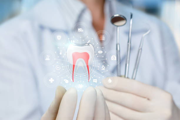 Professional Dental Services in Robesonia, PA